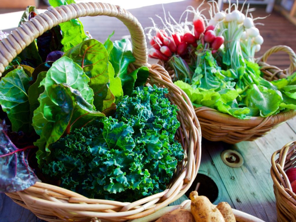 bitter tasting greens and veges with many health benefits